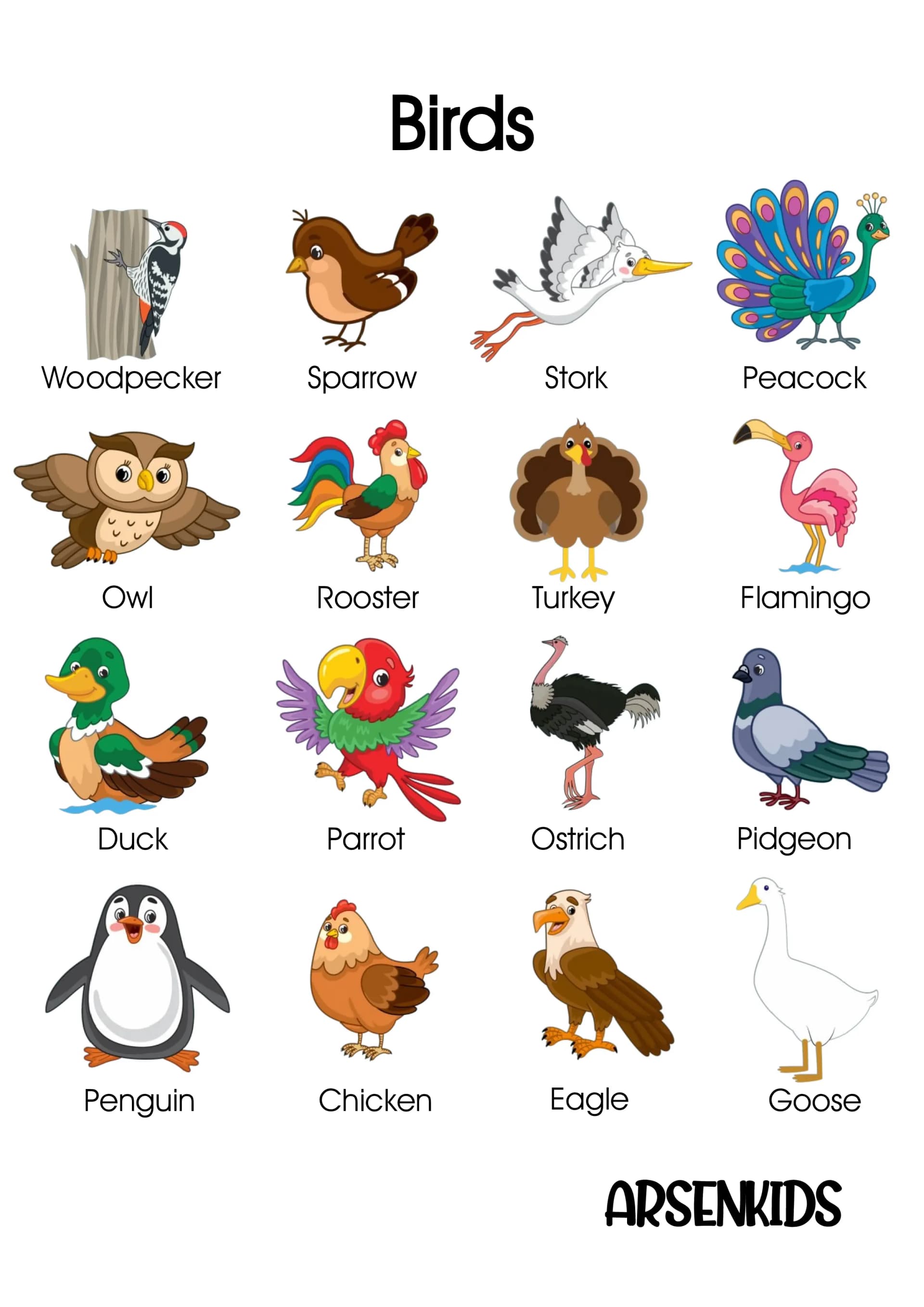 birds