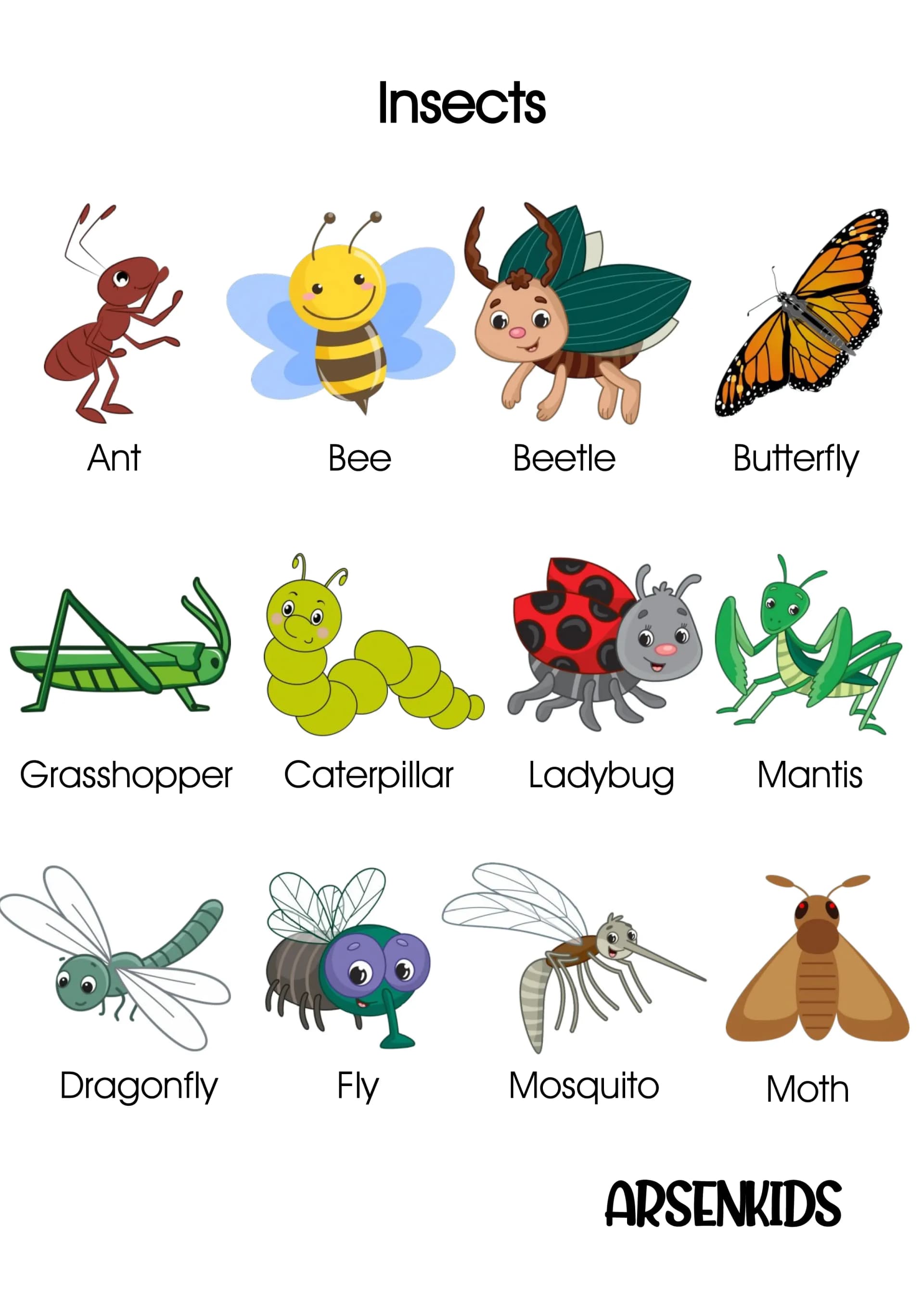 insects