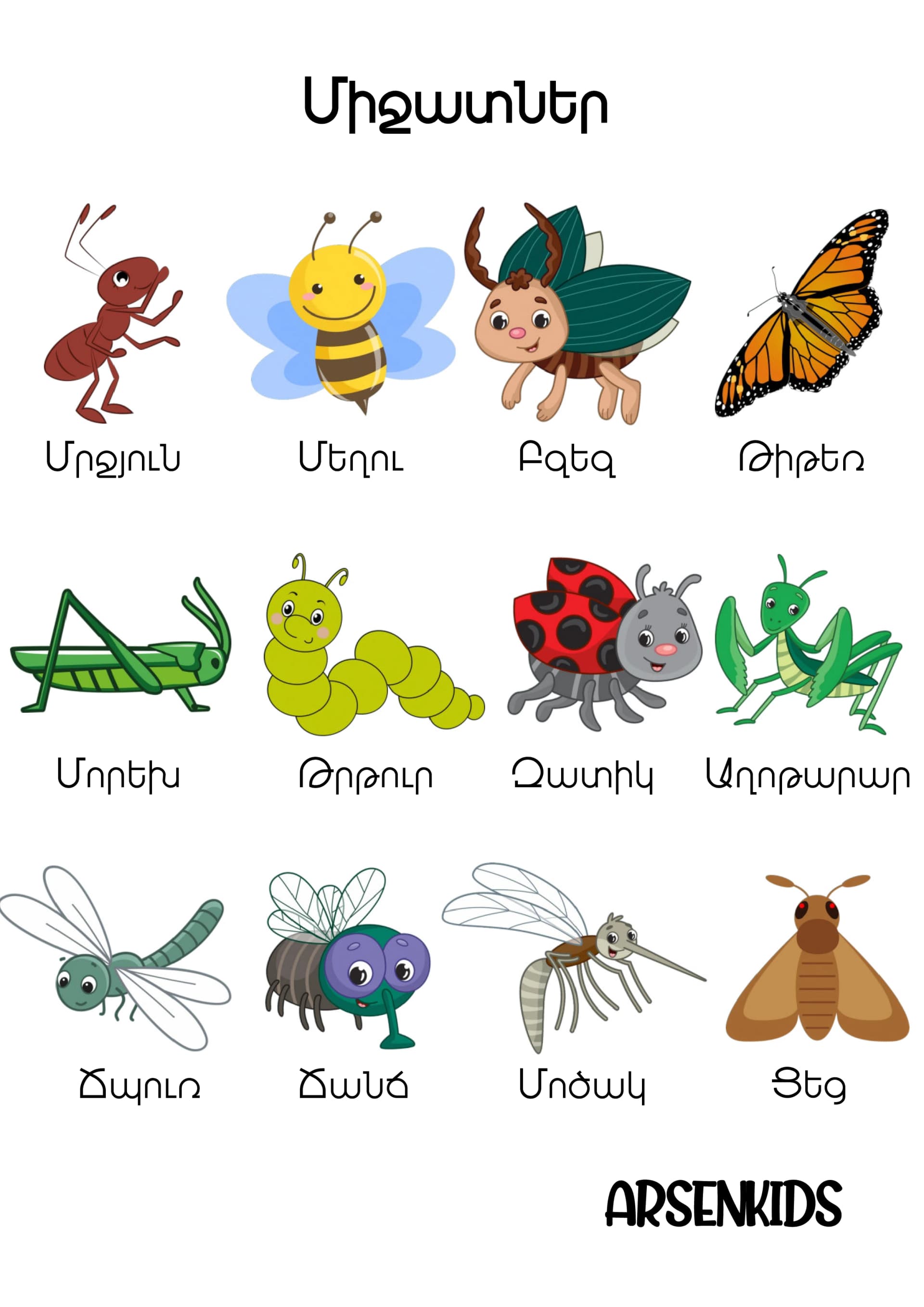 insects