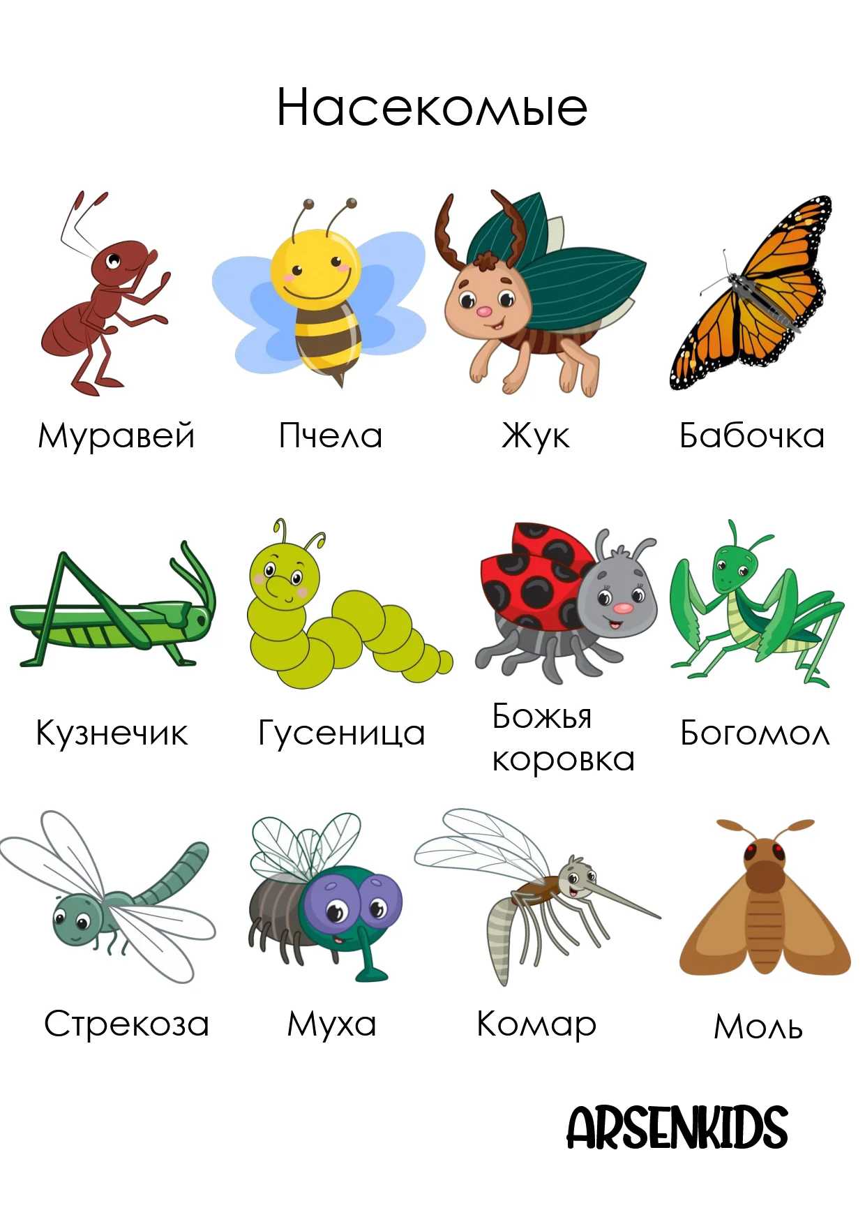 insects